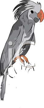 Bird Clipart