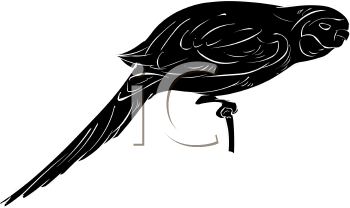 Bird Clipart