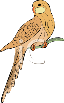 Bird Clipart