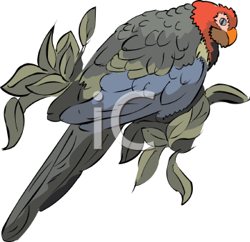 Bird Clipart