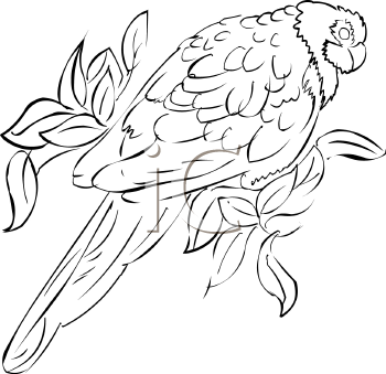 Bird Clipart