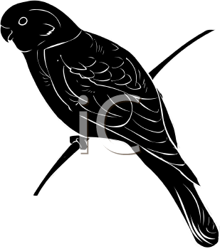 Bird Clipart