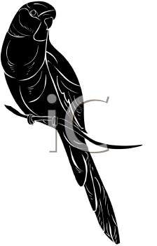 Bird Clipart