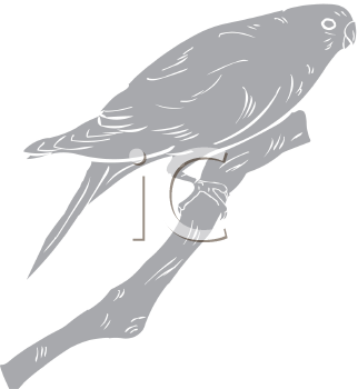 Bird Clipart