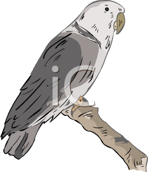 Bird Clipart