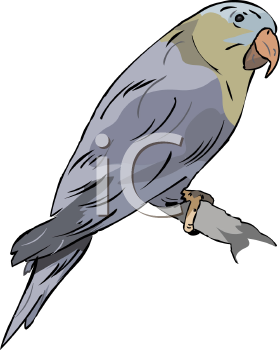 Bird Clipart