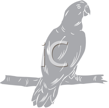 Bird Clipart