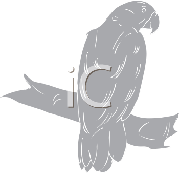 Bird Clipart