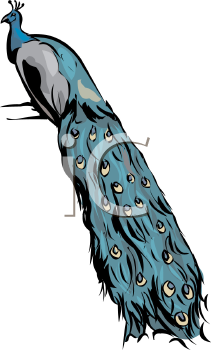 Bird Clipart