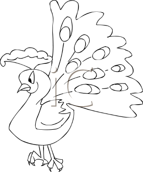 Bird Clipart