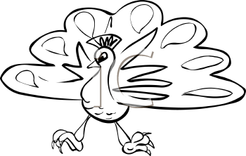 Bird Clipart