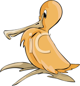 Bird Clipart