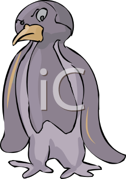 Bird Clipart