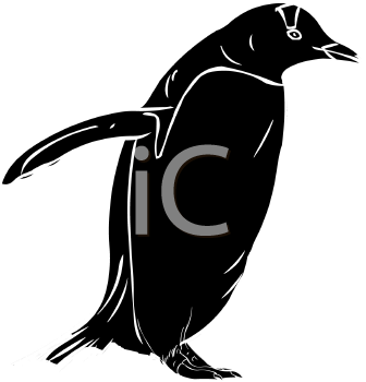 Bird Clipart