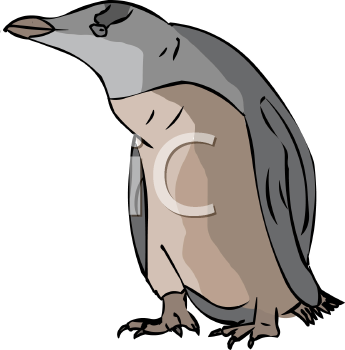 Bird Clipart