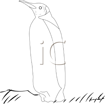 Bird Clipart