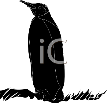 Bird Clipart