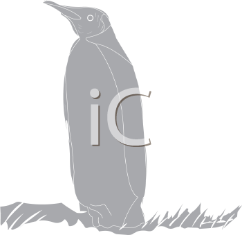 Bird Clipart