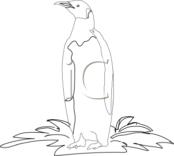 Bird Clipart