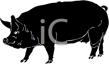 Farm Animal Clipart