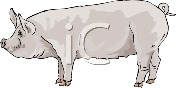 Farm Animal Clipart