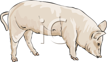 Farm Animal Clipart