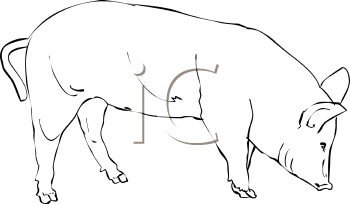 Farm Animal Clipart