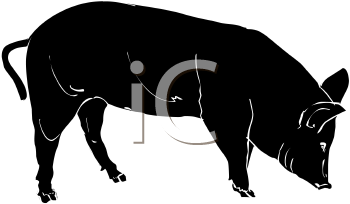 Farm Animal Clipart