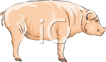 Farm Animal Clipart