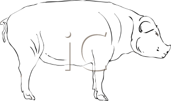 Farm Animal Clipart