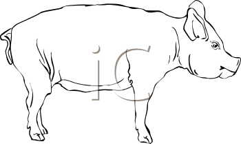 Farm Animal Clipart