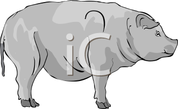 Farm Animal Clipart