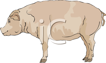 Farm Animal Clipart