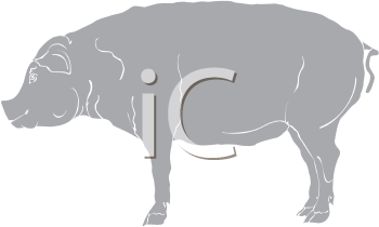 Farm Animal Clipart