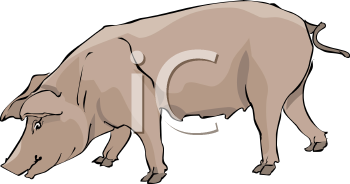 Farm Animal Clipart