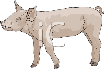 Farm Animal Clipart