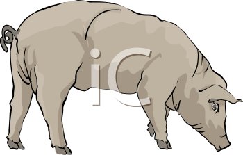 Farm Animal Clipart