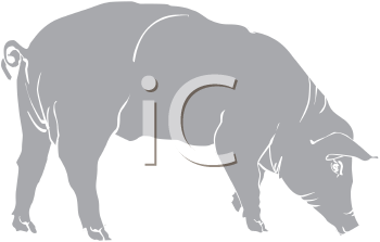 Farm Animal Clipart