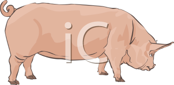 Farm Animal Clipart