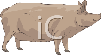 Farm Animal Clipart