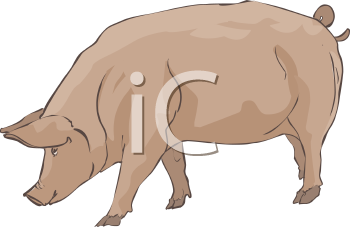 Farm Animal Clipart