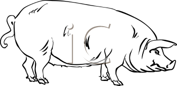 Farm Animal Clipart