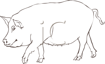 Farm Animal Clipart