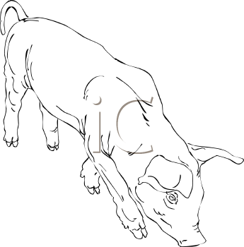 Farm Animal Clipart