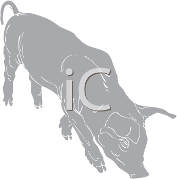 Farm Animal Clipart