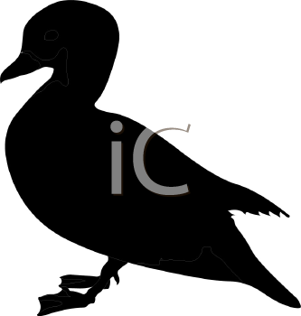 Bird Clipart