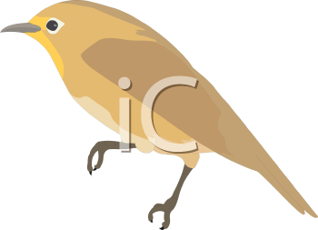 Bird Clipart