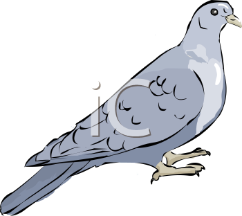 Bird Clipart