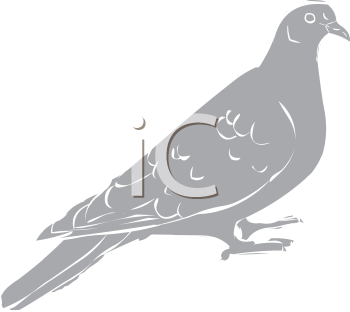 Bird Clipart