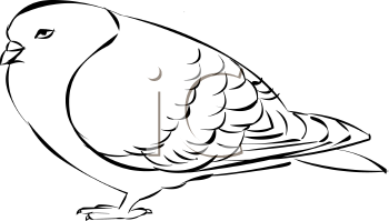 Bird Clipart